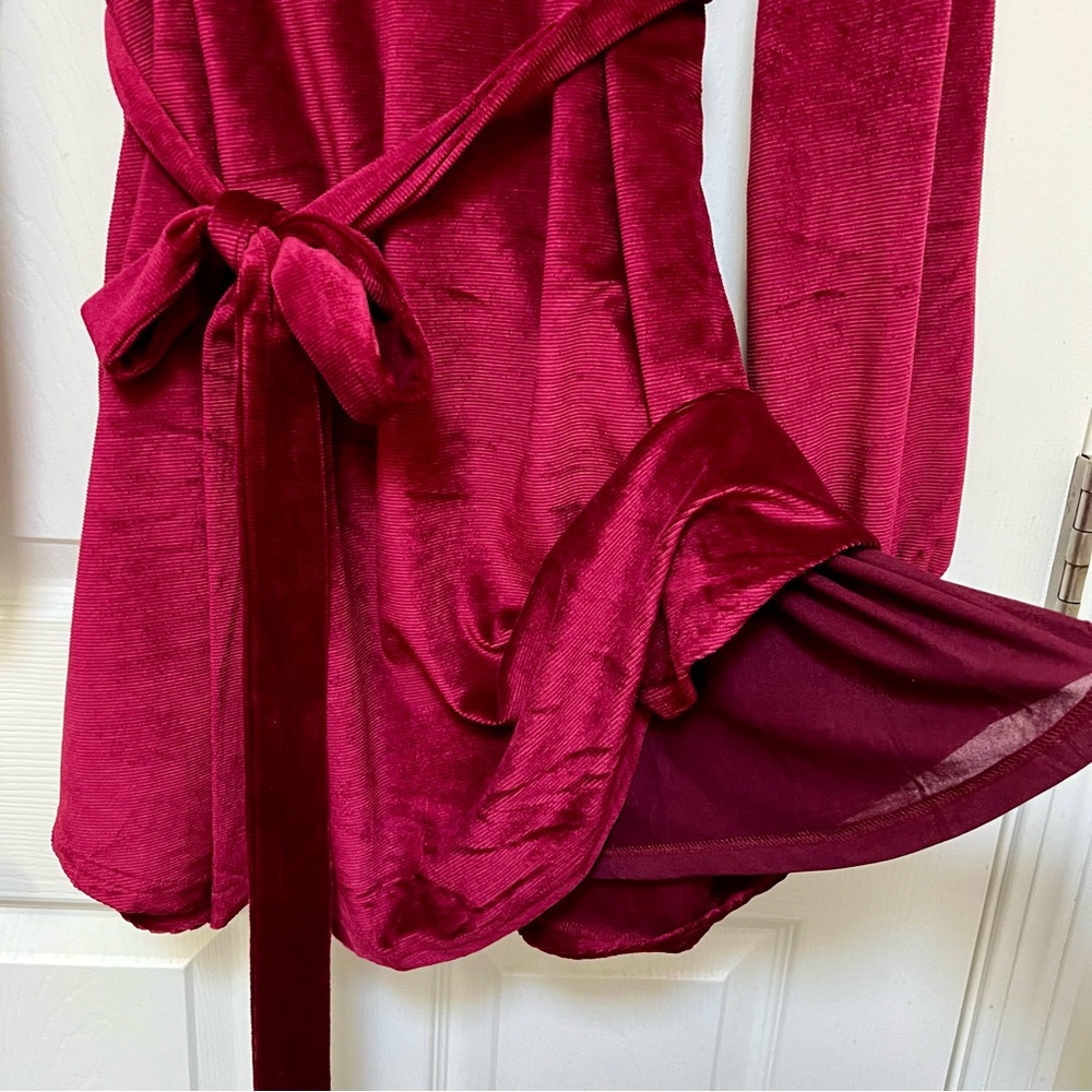 Red Velvet Jewel Toned Dress 🎀 - Picture 4 of 10